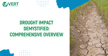 Drought Impact Demystified: Comprehensive Overview