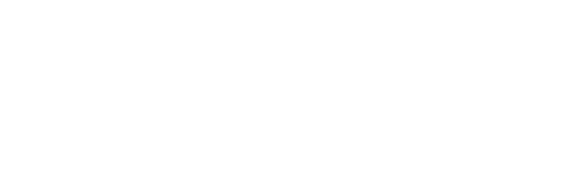 Vert Enviro White Logo