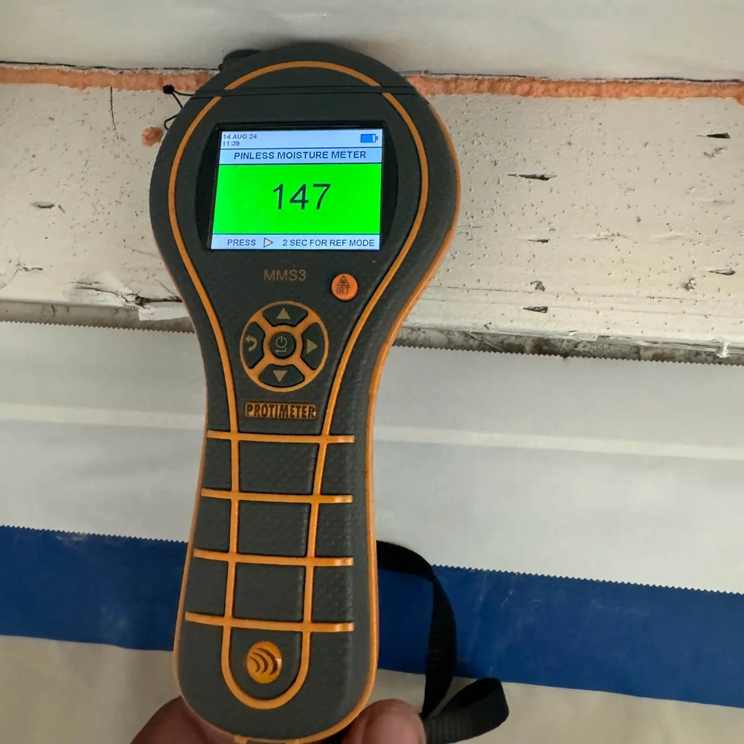 user-inserted mold inspection service